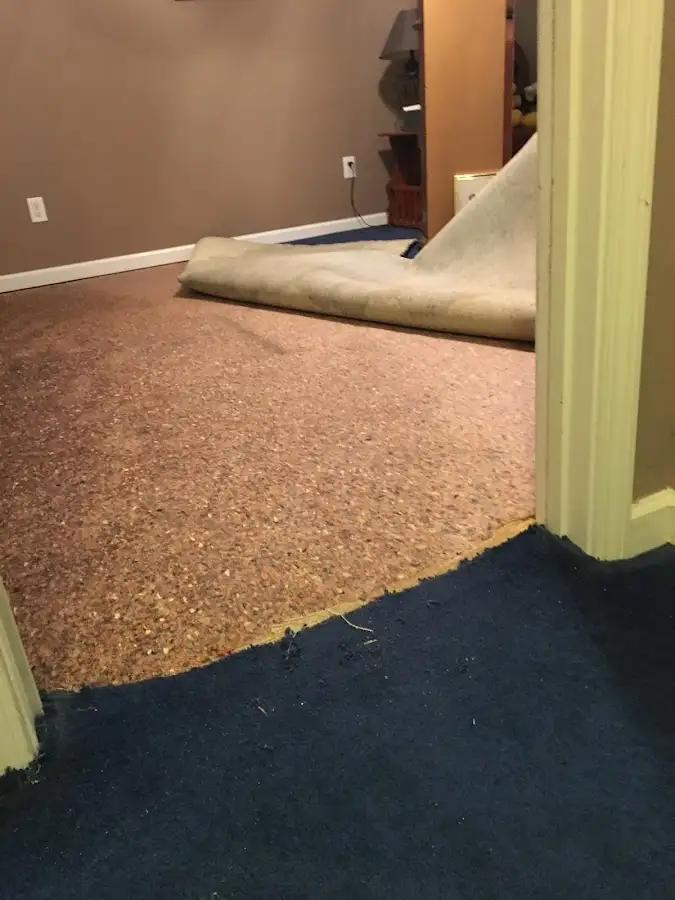 Carpet pad removal revealing water damage during Water Mitigation Services in Pequea